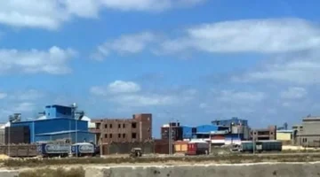 طقس القاهرة غدا: حرارة نهارية ودرجات باردة ليلاً مع شبورة ورياح نشطة